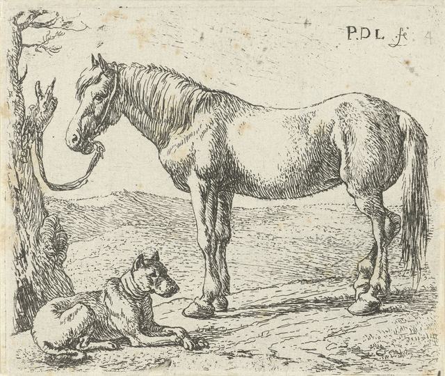 Ets van een paard dat aan een boom is vastgemaakt, met een hond die ervoor ligt